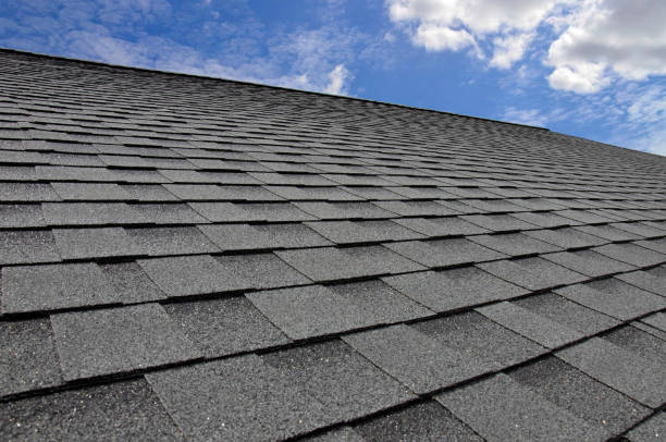 Best Metal Roofing Installation  in Hale Center, TX